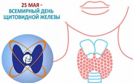 «Эффект «бабочки» или что вы знаете о щитовидной железе»